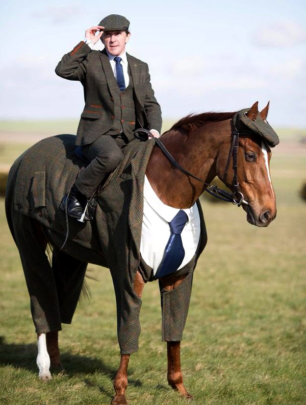 The world's first Harris Tweed three-piece suit created for a horse