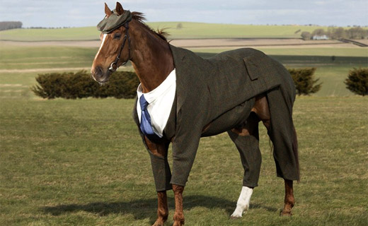 Horse-Suit-Tweed_l.jpg
