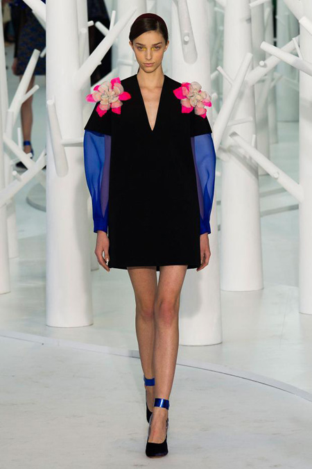 Delpozo Fall/Winter 2015 collection