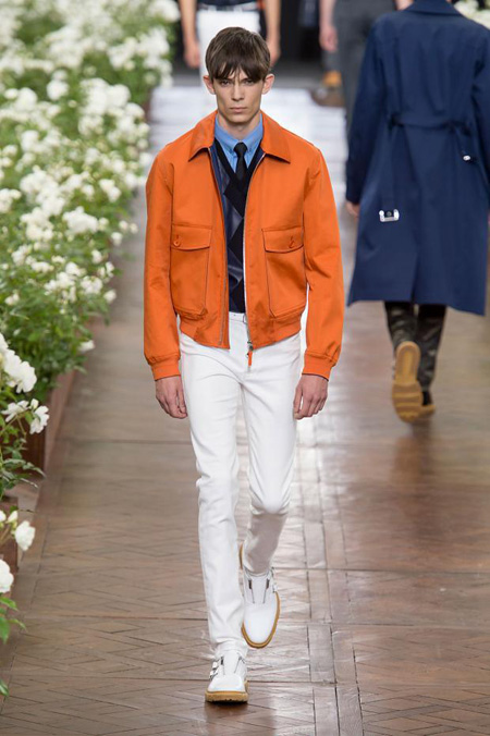 Christian Dior Spring/Summer 2016 Menswear collection