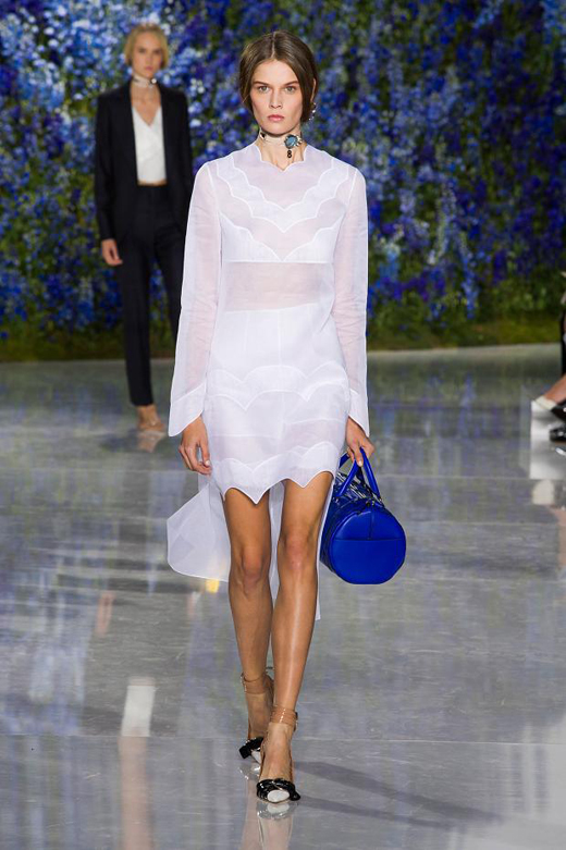 Christian Dior Spring/Summer 2016 Womenswear collection