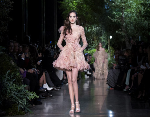    - 2015  Elie Saab