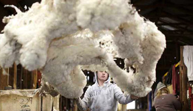 21 unique qualities of Australian Merino wool