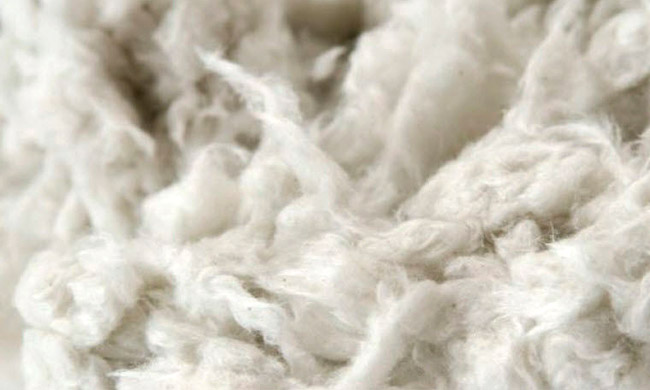 Cotton is considered the dirtiest crop in the world because of heavy use of pesticides