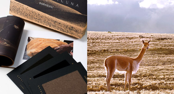 Dormeuil Ultimate Luxury - Extreme Vicuna Collection