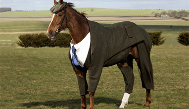 The world's first Harris Tweed three-piece suit created for a horse