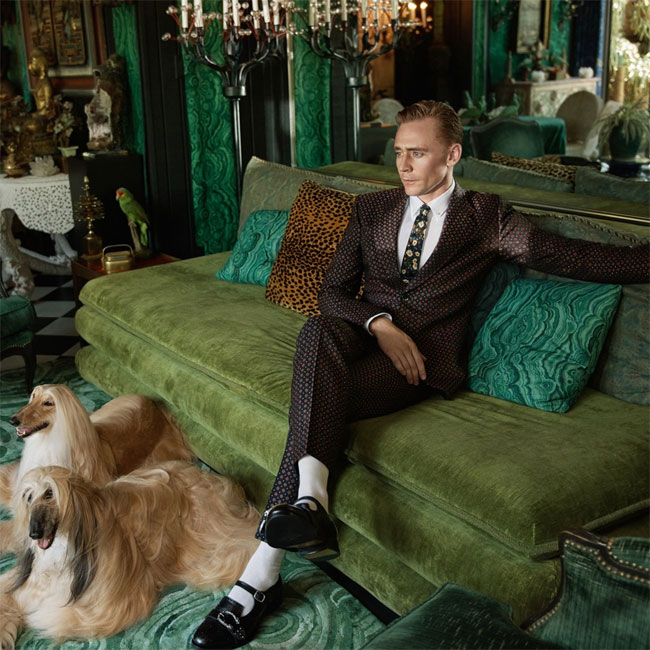 Tom Hiddleston is the new face of Gucci