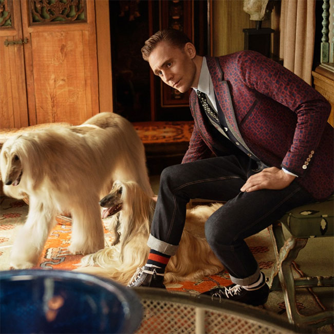 Tom Hiddleston is the new face of Gucci