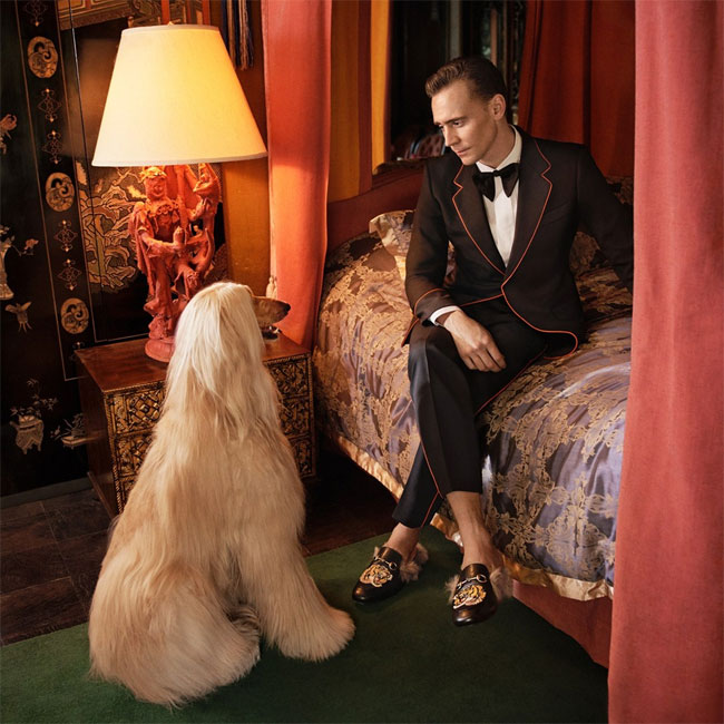 Tom Hiddleston is the new face of Gucci