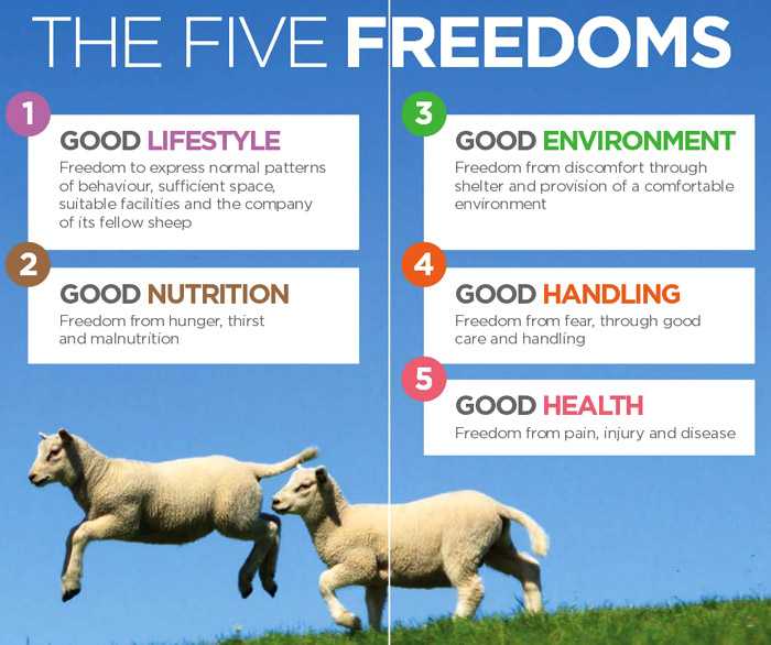 2016 Campaign For Wool presents The five freedoms of sheep 