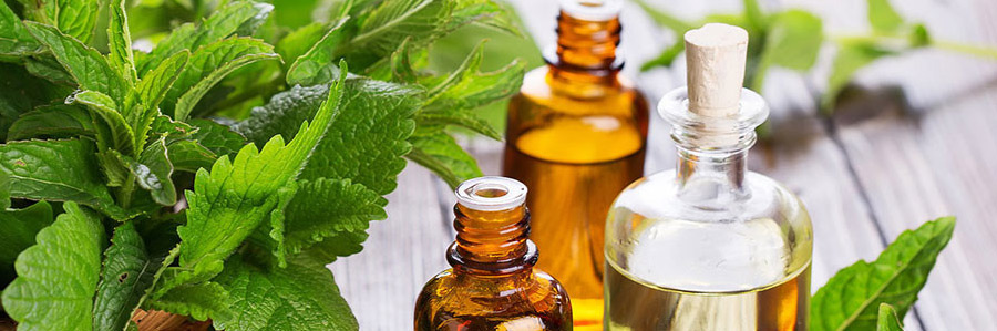 Most Popular Aromatherapy Oils