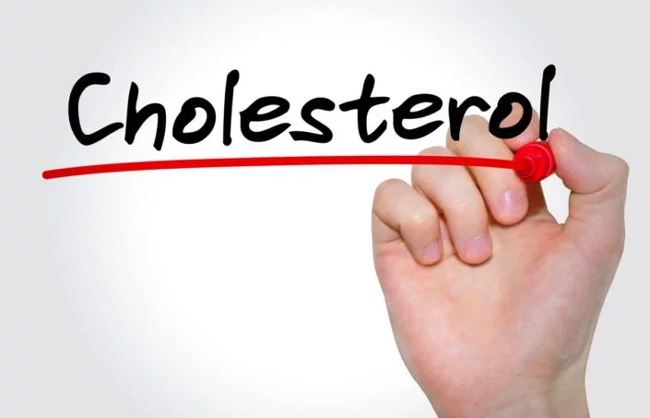 What You Need To Know About Cholesterol