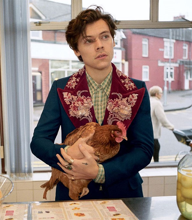 Harry Styles - the face in Gucci Tailoring Campaign