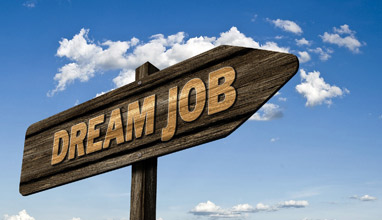 Pro Tips for Landing Your Dream Job