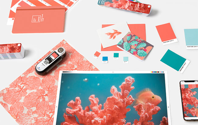 Pantone revealed the Colour of 2019 - Living Coral