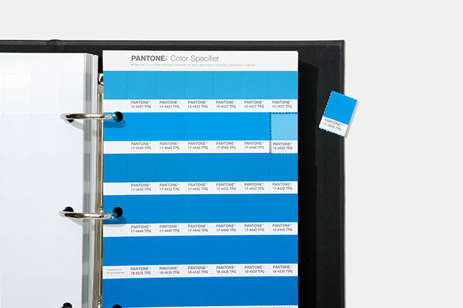 Pantone Introduces 315 New Colors, New Digital Solutions for Fashion, Home, Interiors