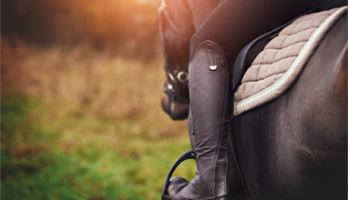 5 Horse Riding Tips for Beginners