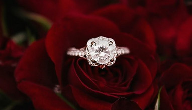 Find the Engagement Ring of Your Dreams