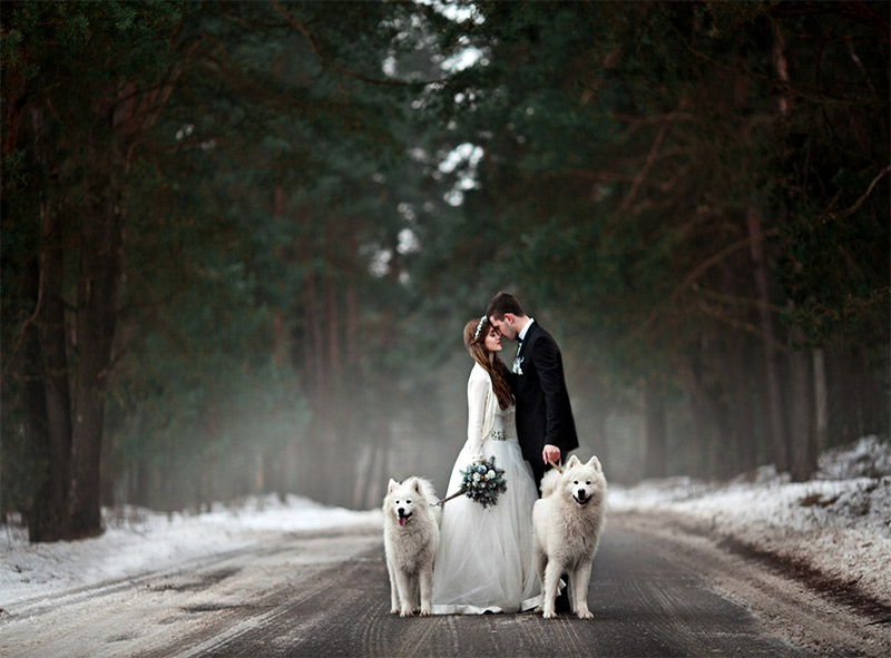 10 Dreamy Winter Wedding Photo Ideas