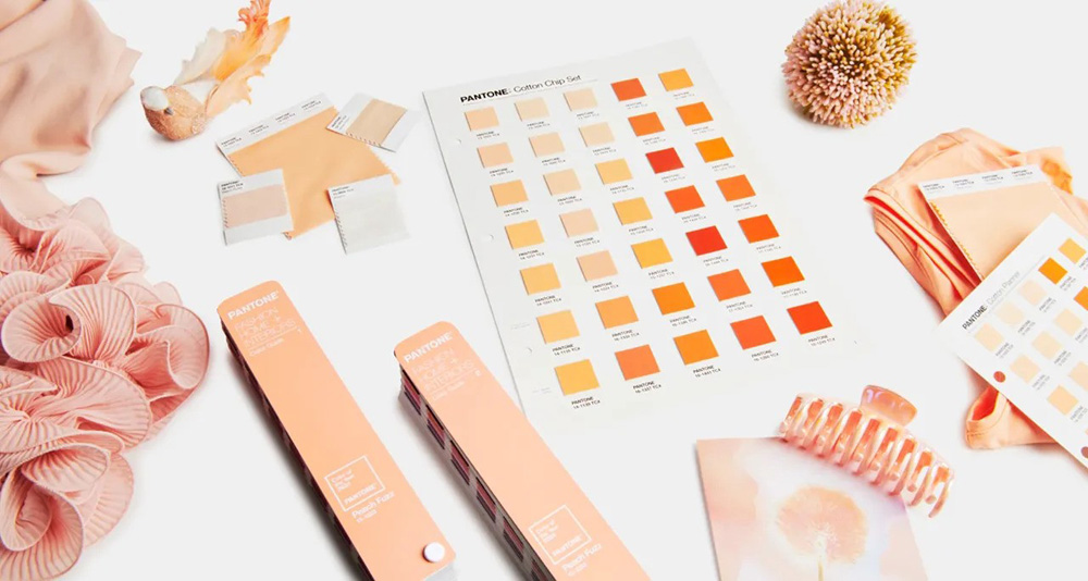 PANTONE color of the year 2024 is 13-1023 Peach Fuzz