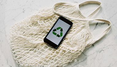 Creating an Eco-Friendly Fashion Brand