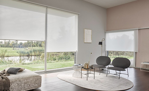 Roller Blinds Translucent vs. Blackout: Which One Should You Choose for Your Home or Office?