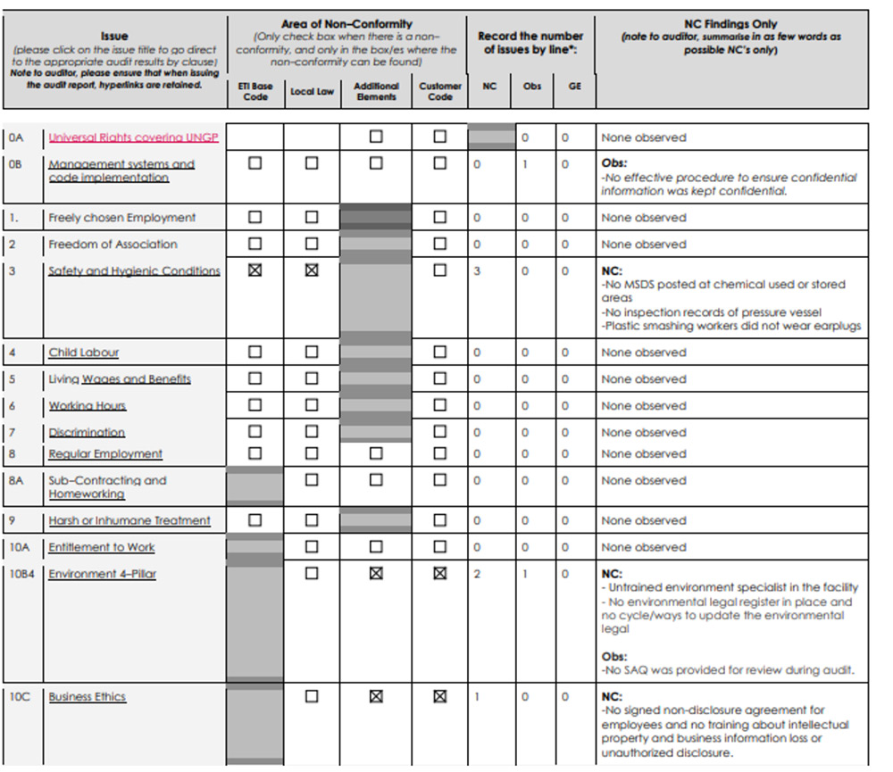 SMETA Audit Report