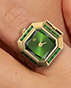 Why Fashion Lovers Are Switching to PASCAL Watch Rings in 2025