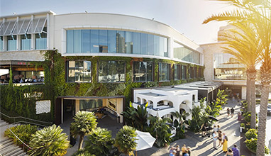 Westfield UTC: A Premier San Diego Shopping Mall Experience Blending Style, Dining, and Lifestyle