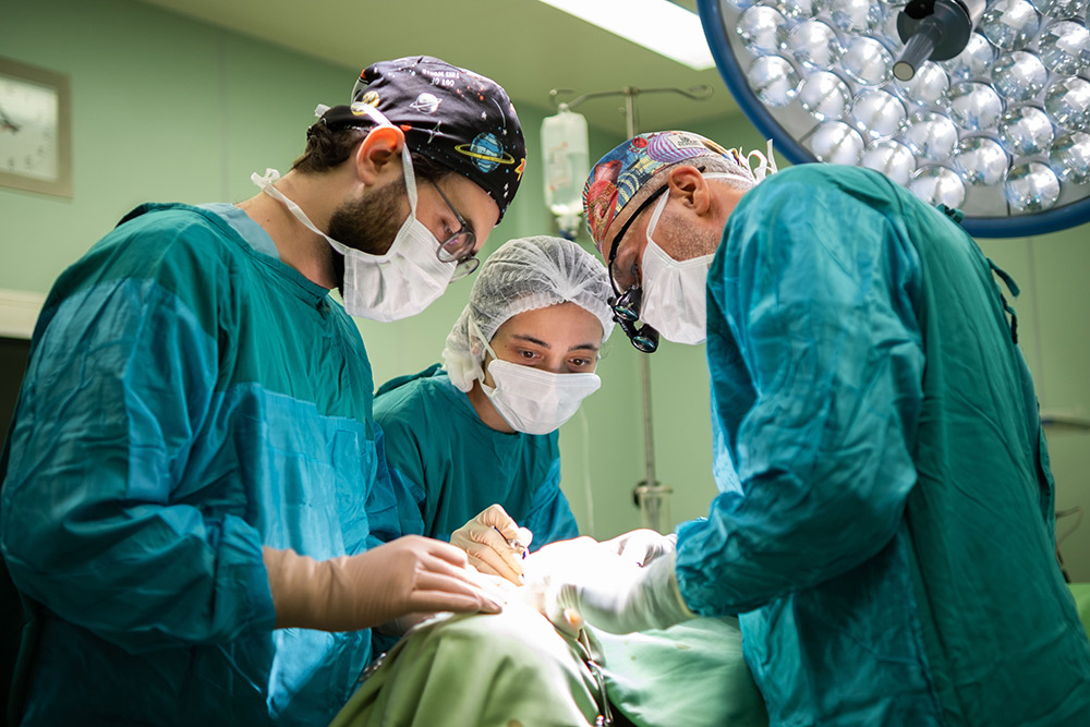 Surgeons